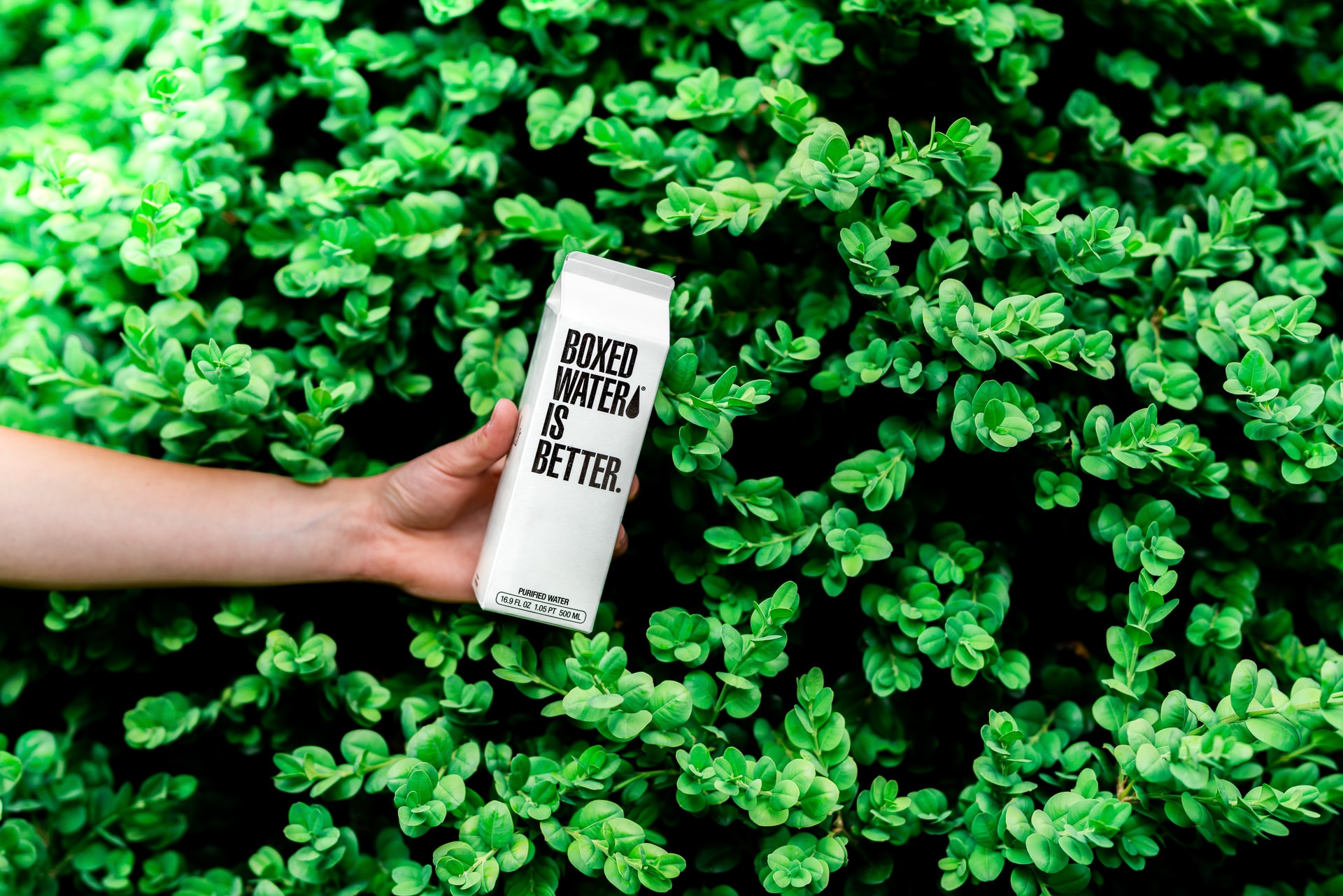 boxed water, eliminate the toxic products