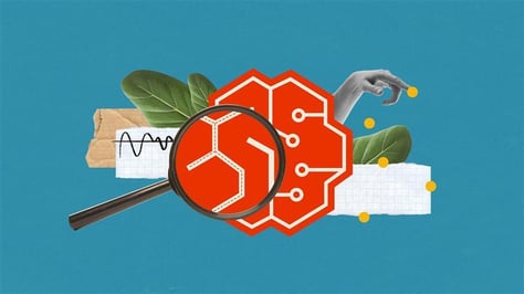 Image showing a brain as a representation of systems 