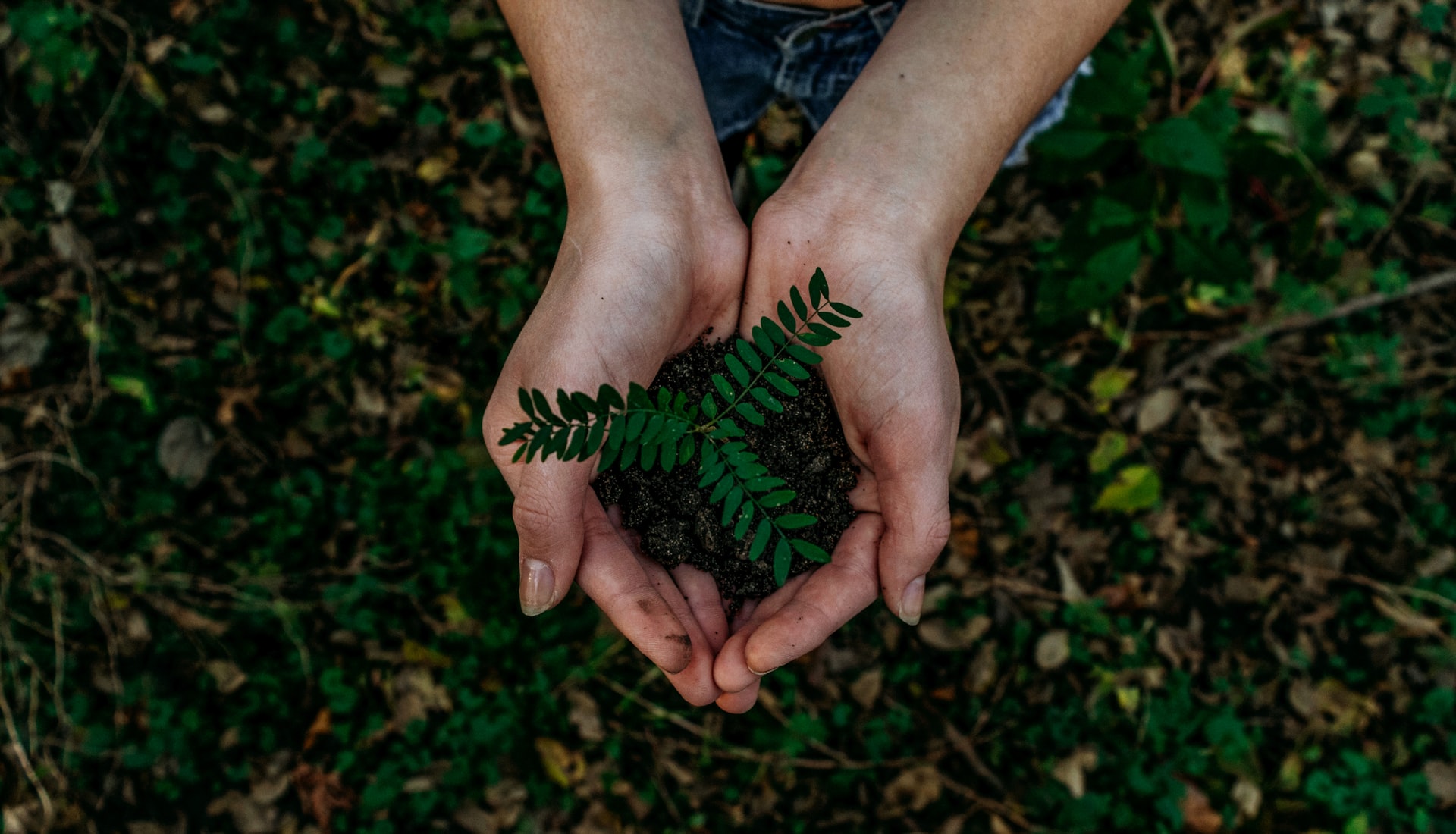 7 Hotel Sustainability Trends You Should Consider